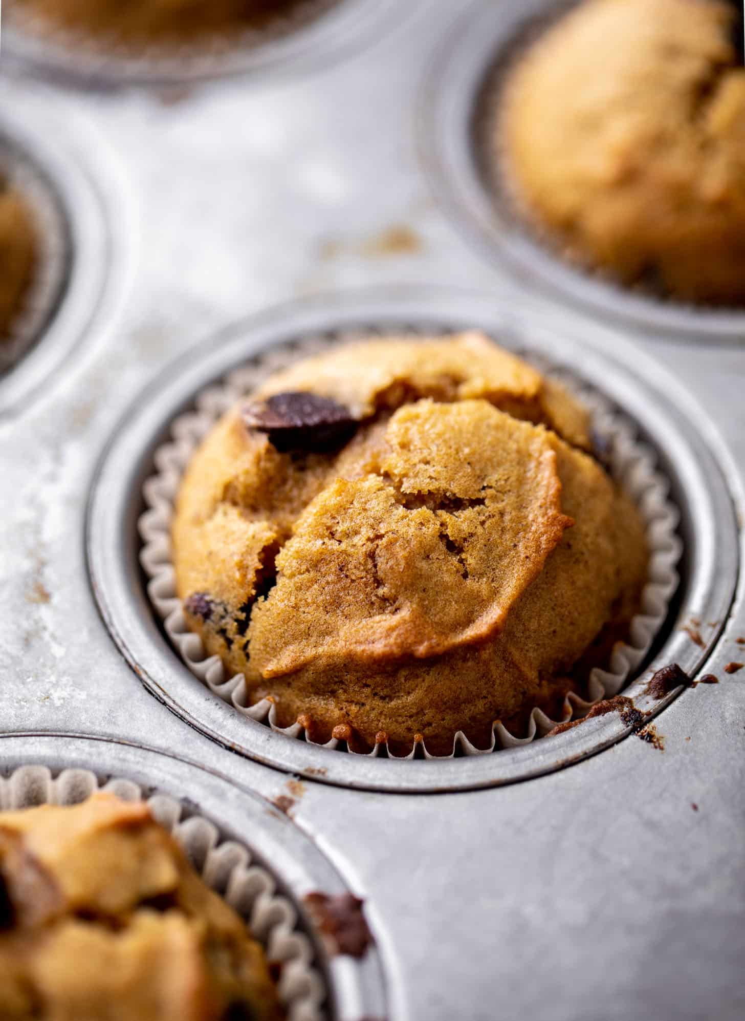 pumpkin chocolate chip muffins