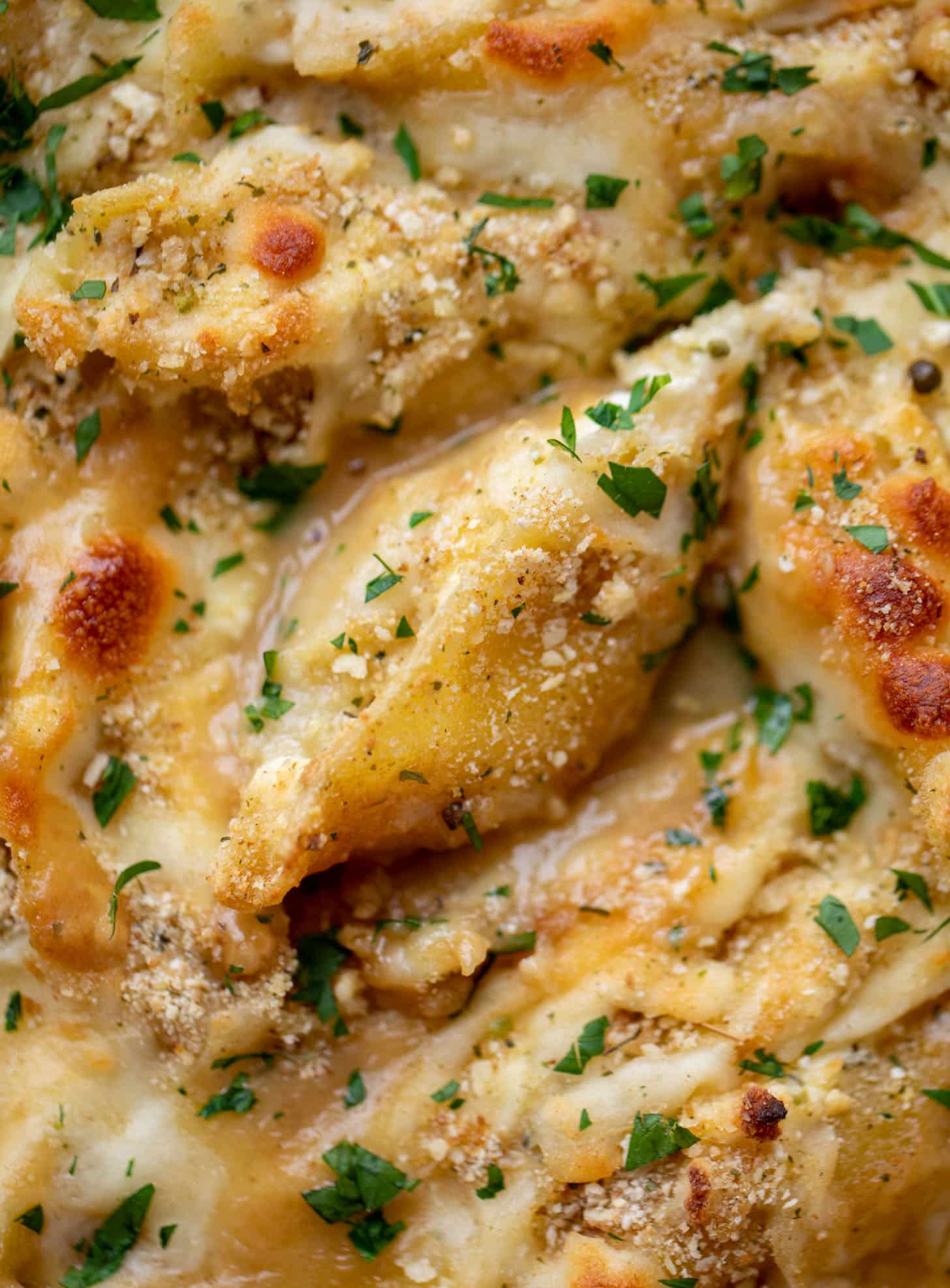french onion stuffed shells