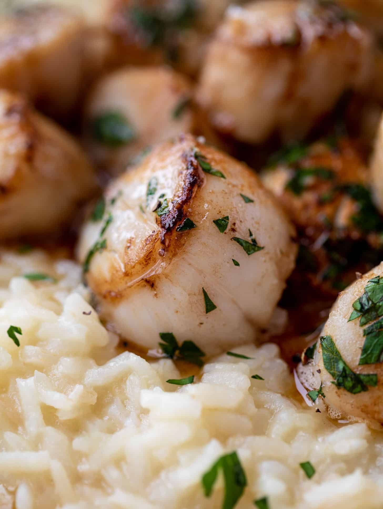 herb brown butter scallops with champagne risotto