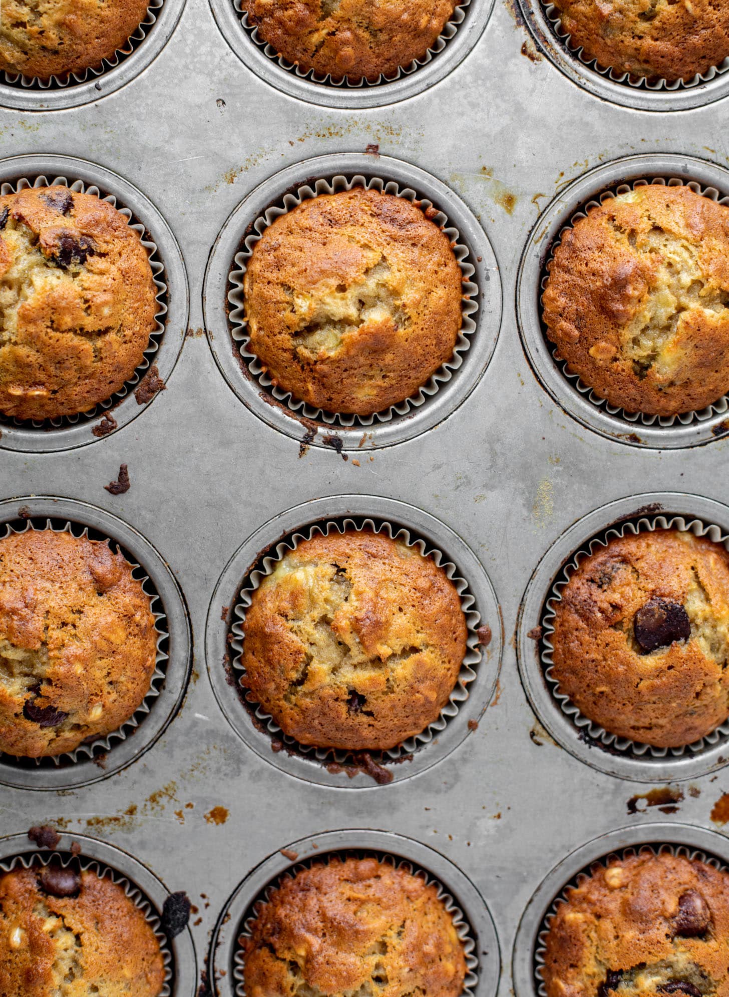 chocolate chip banana oat muffins