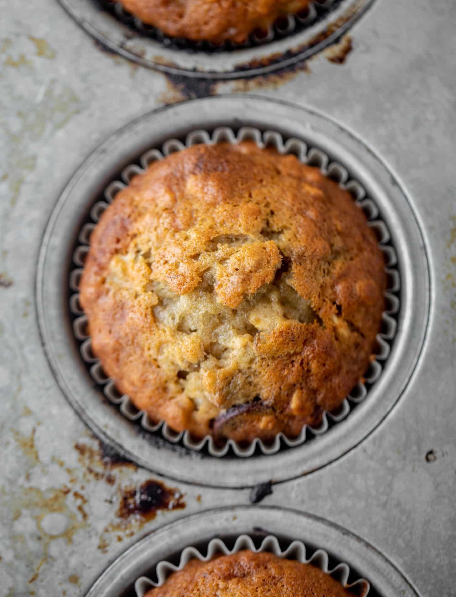 chocolate chip banana oat muffin