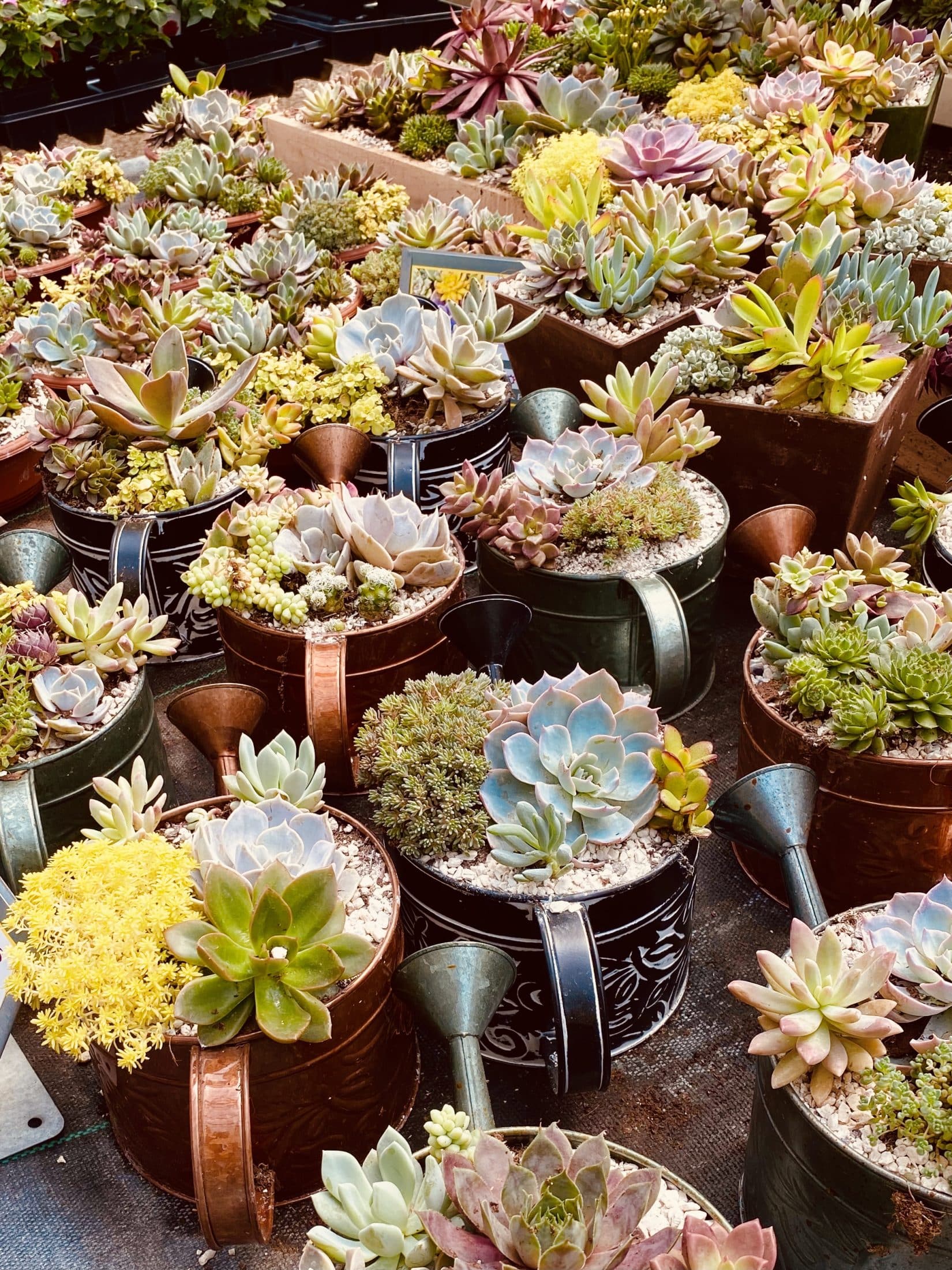 currently crushing on