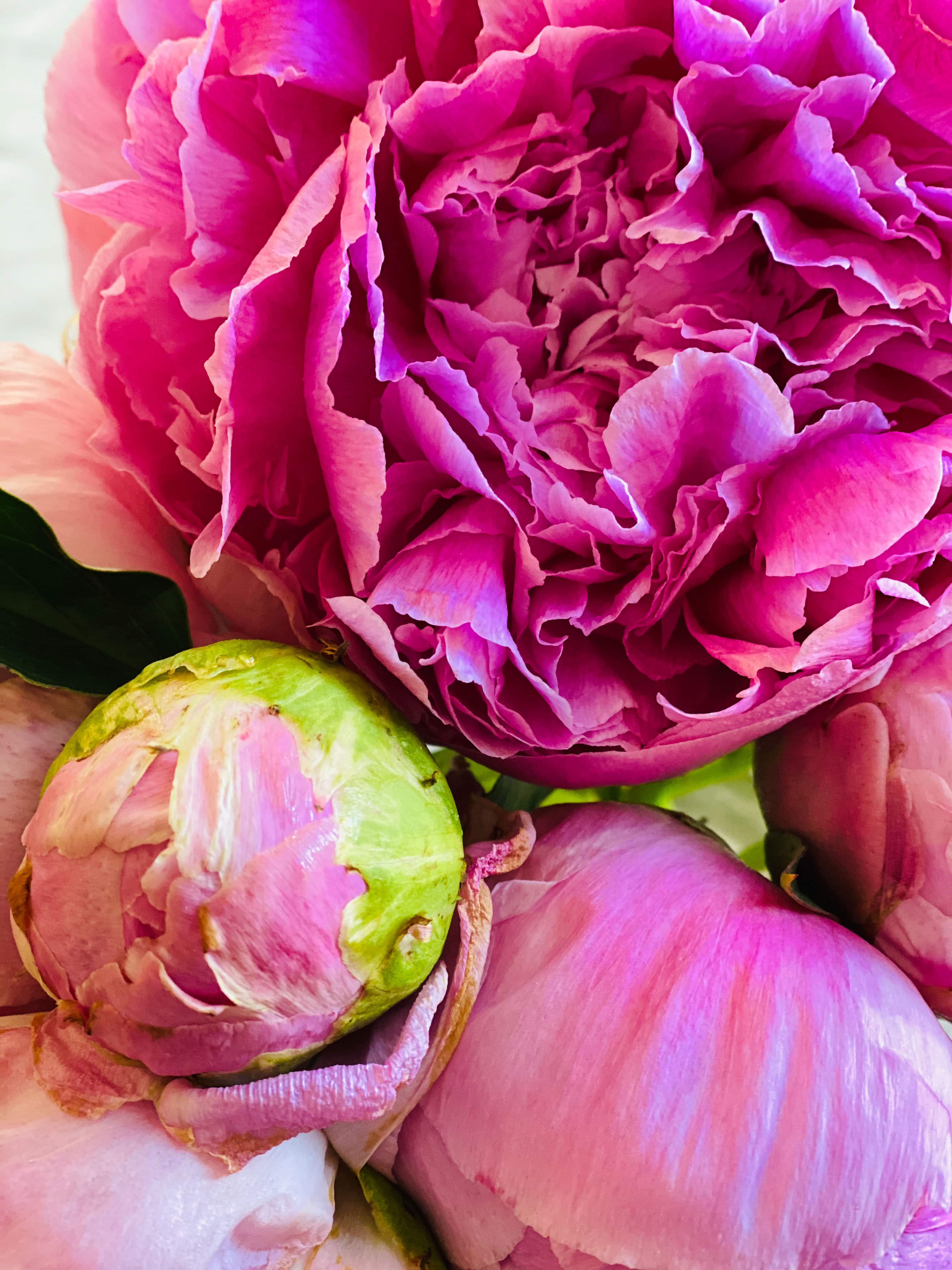 currently crushing on