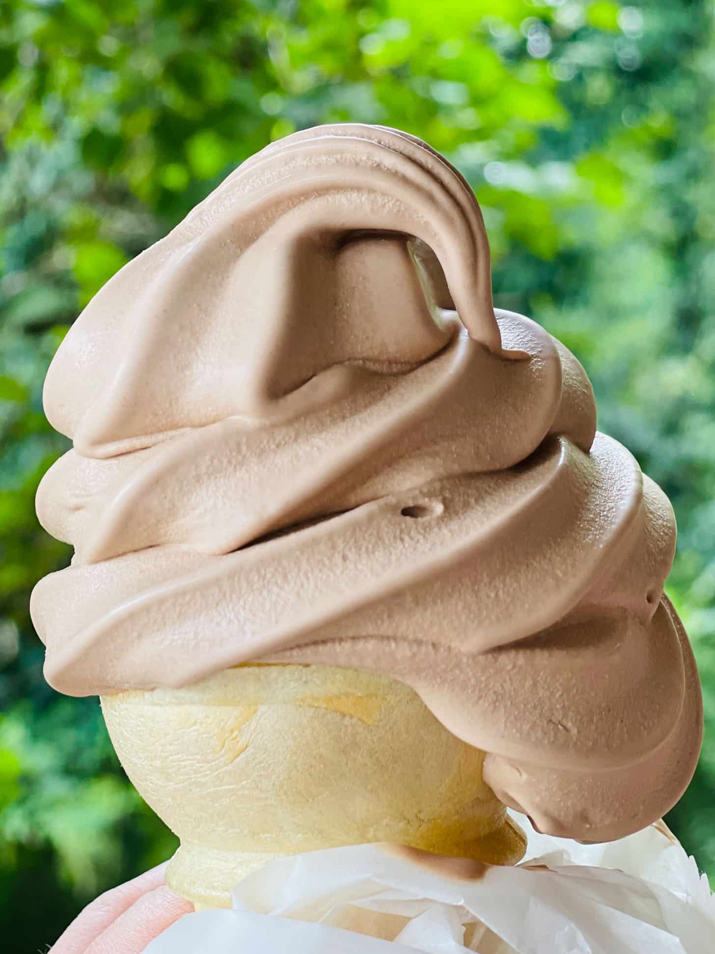 currently crushing on