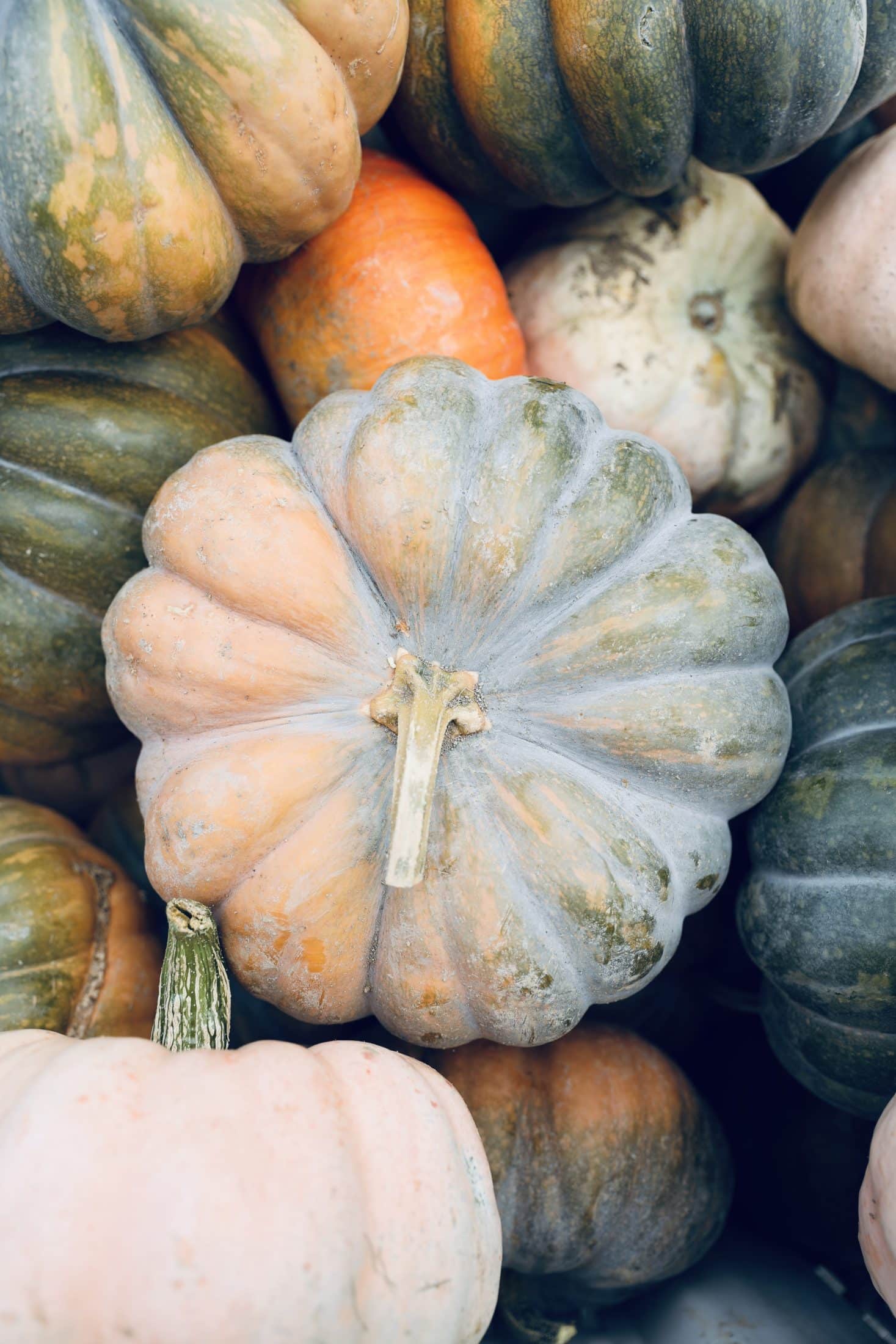 currently crushing on