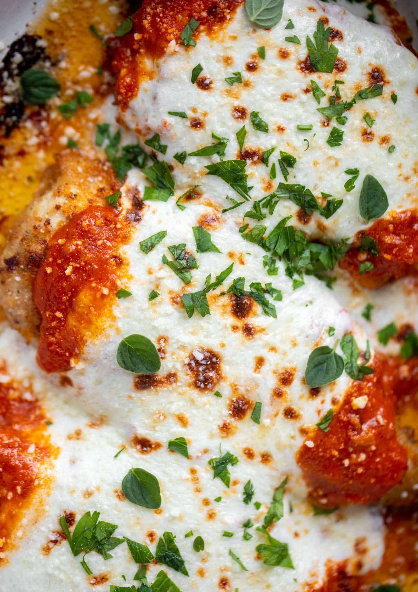 vodka sauce chicken parmesan