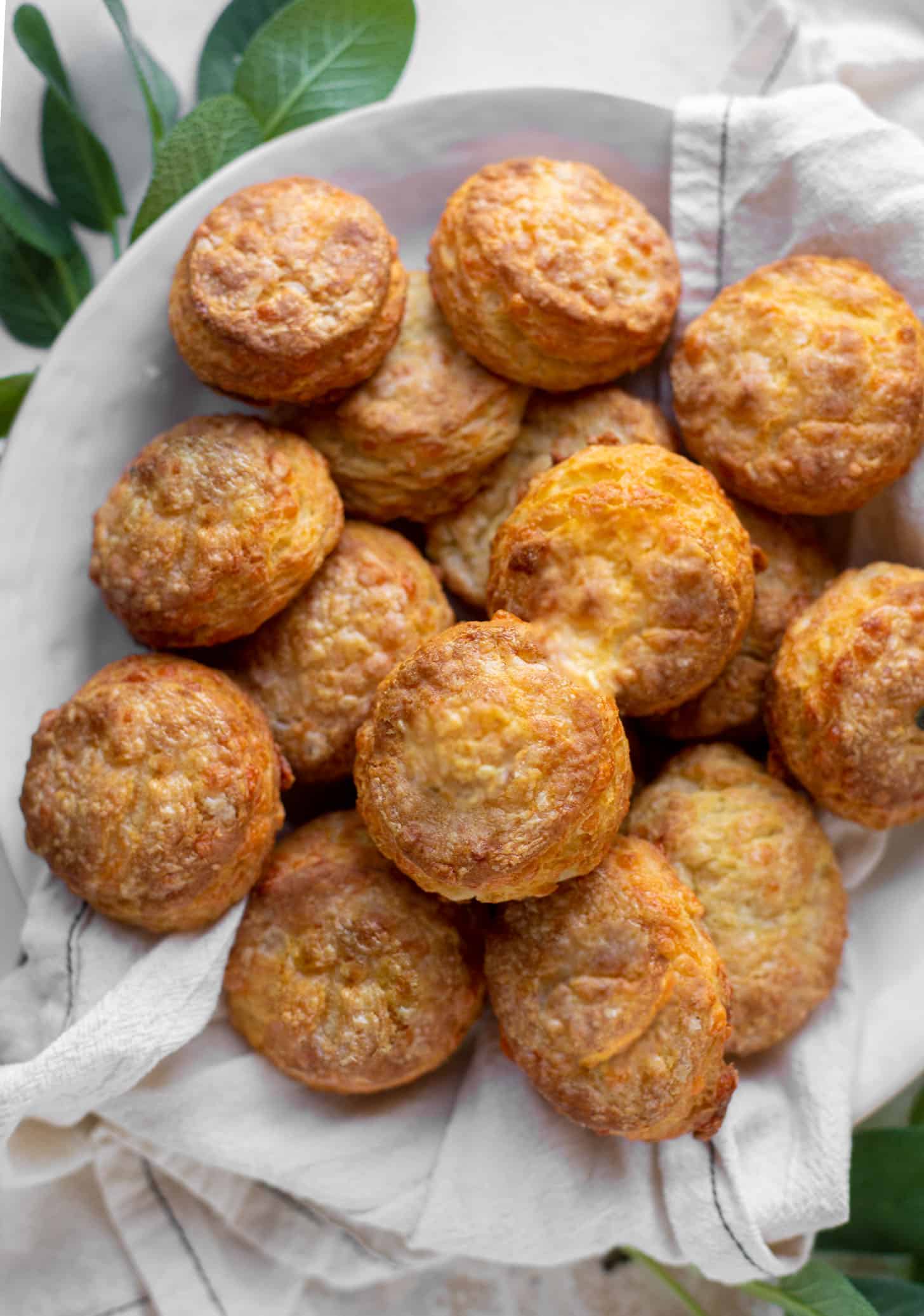 smoked cheddar sour cream biscuits