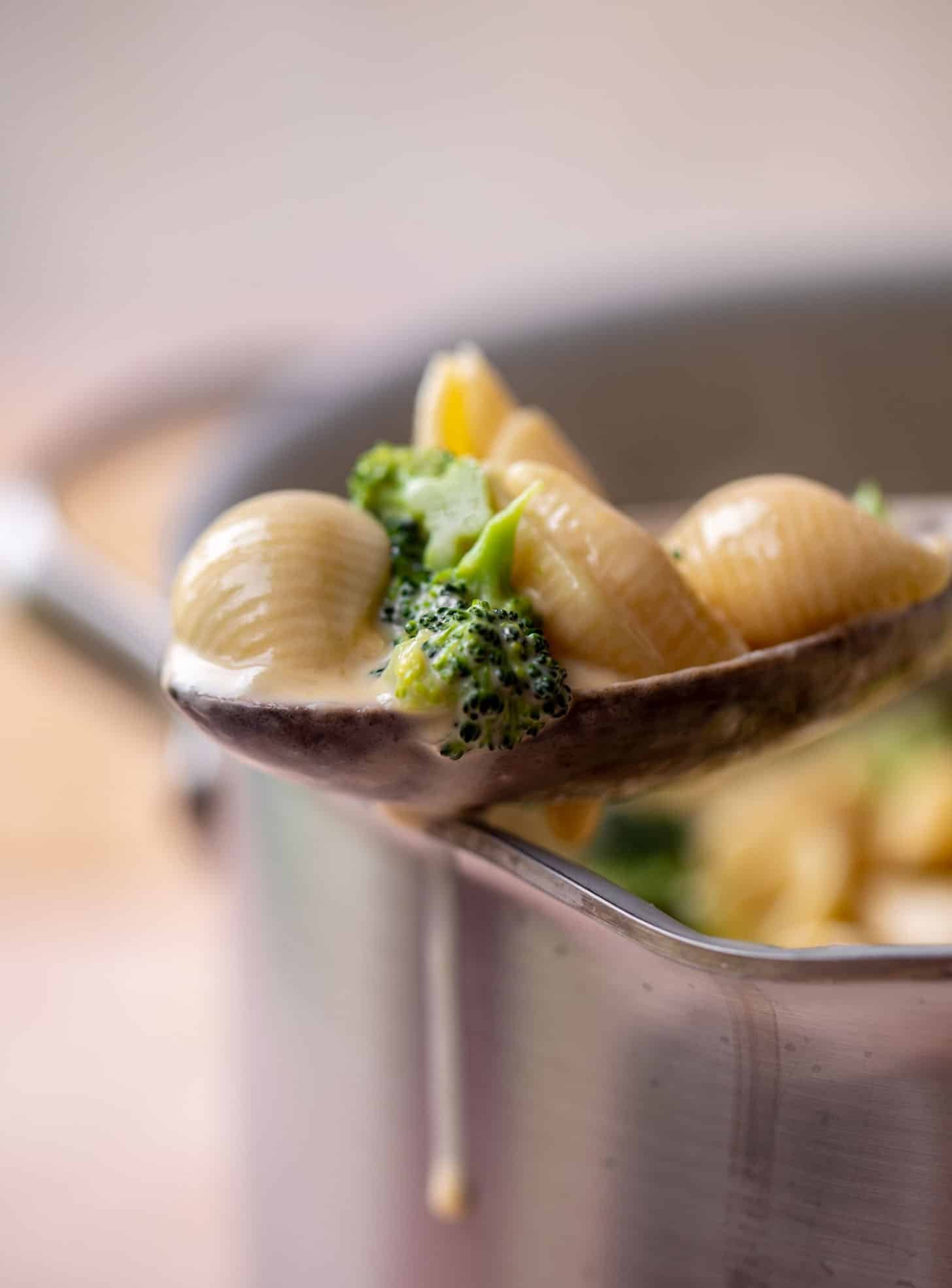 broccoli shells and cheese