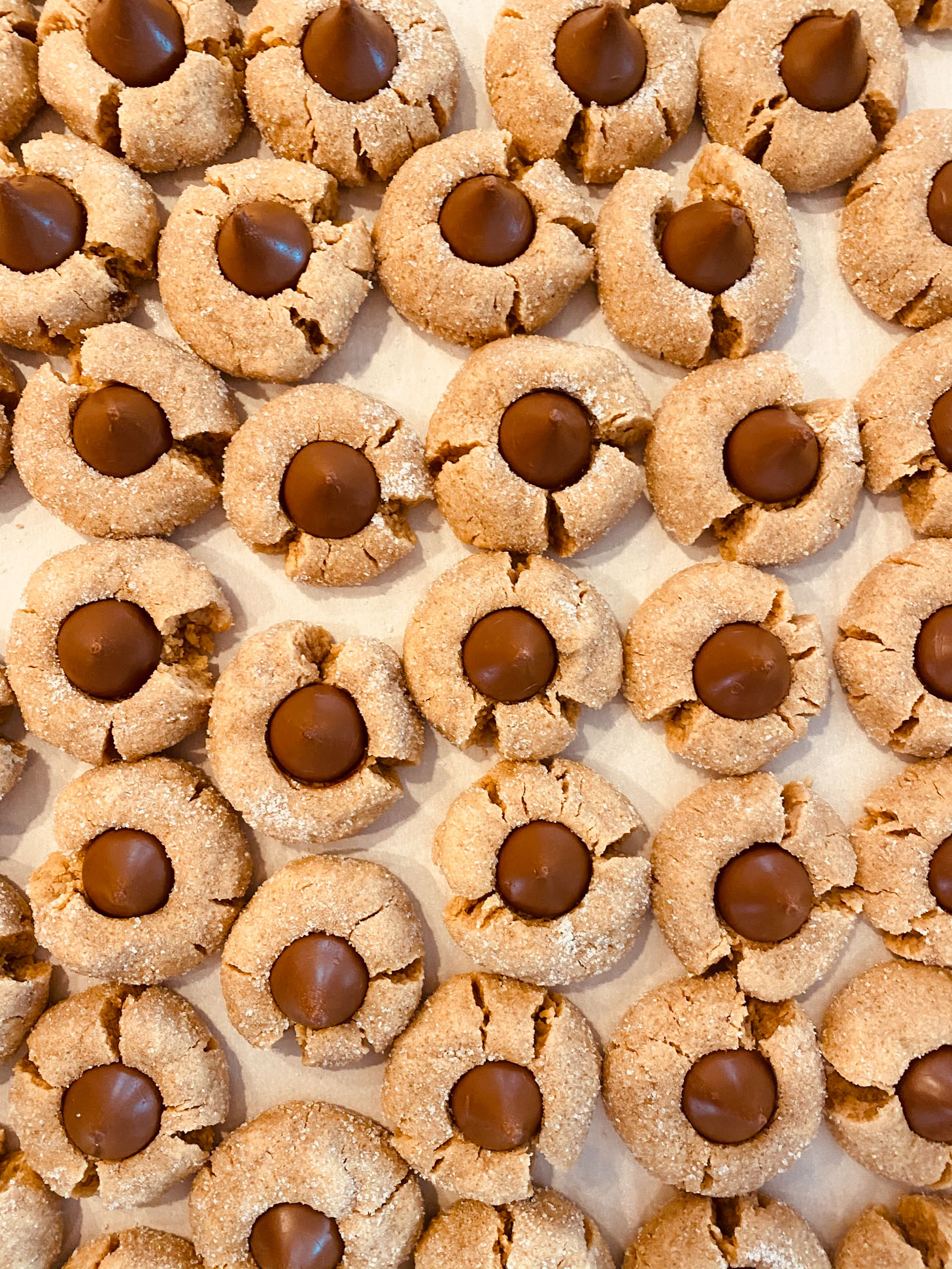 currently crushing on