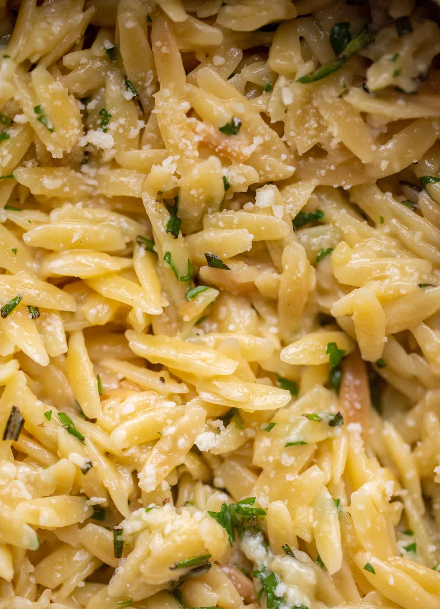 parmesan herb orzo close up