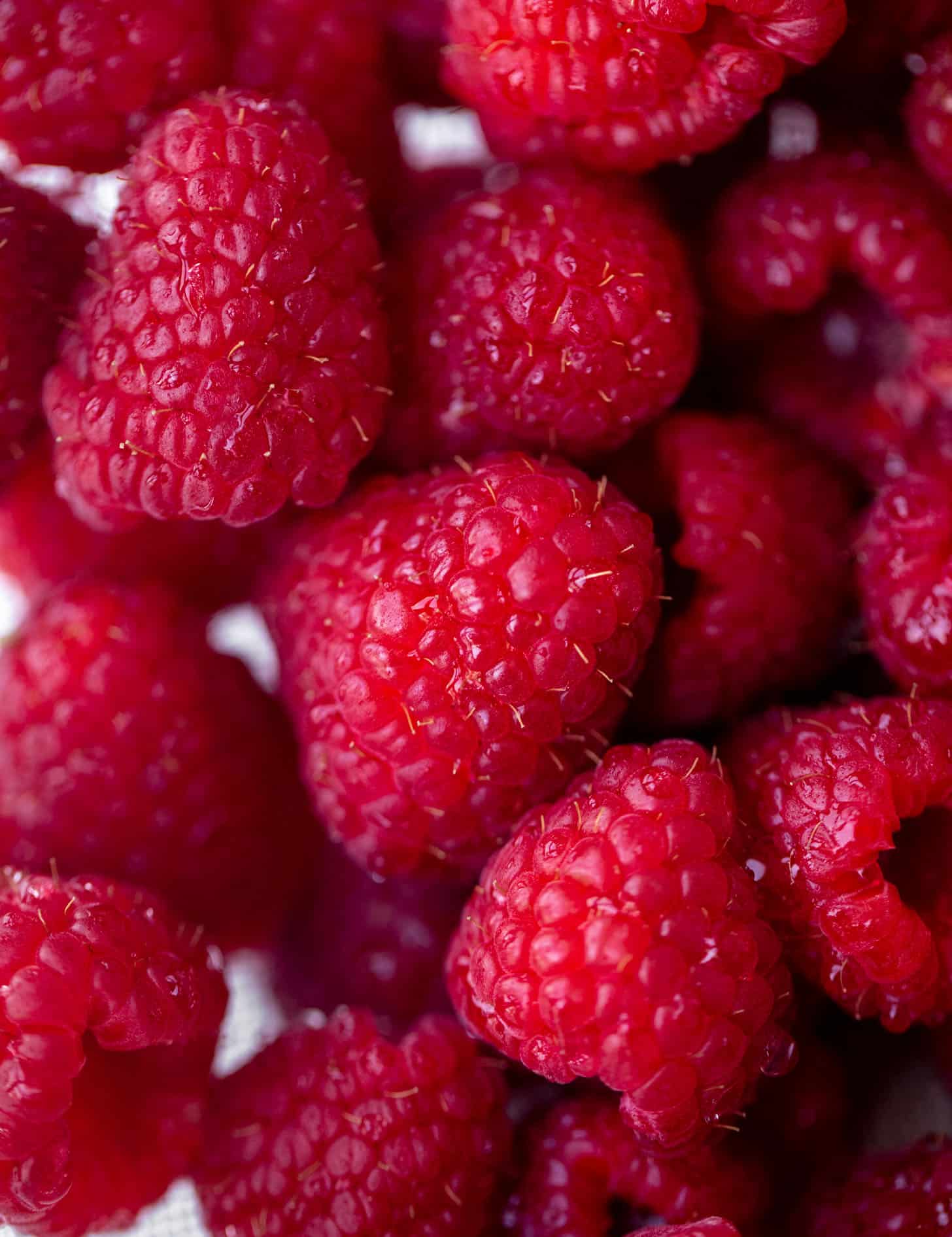 fresh raspberries
