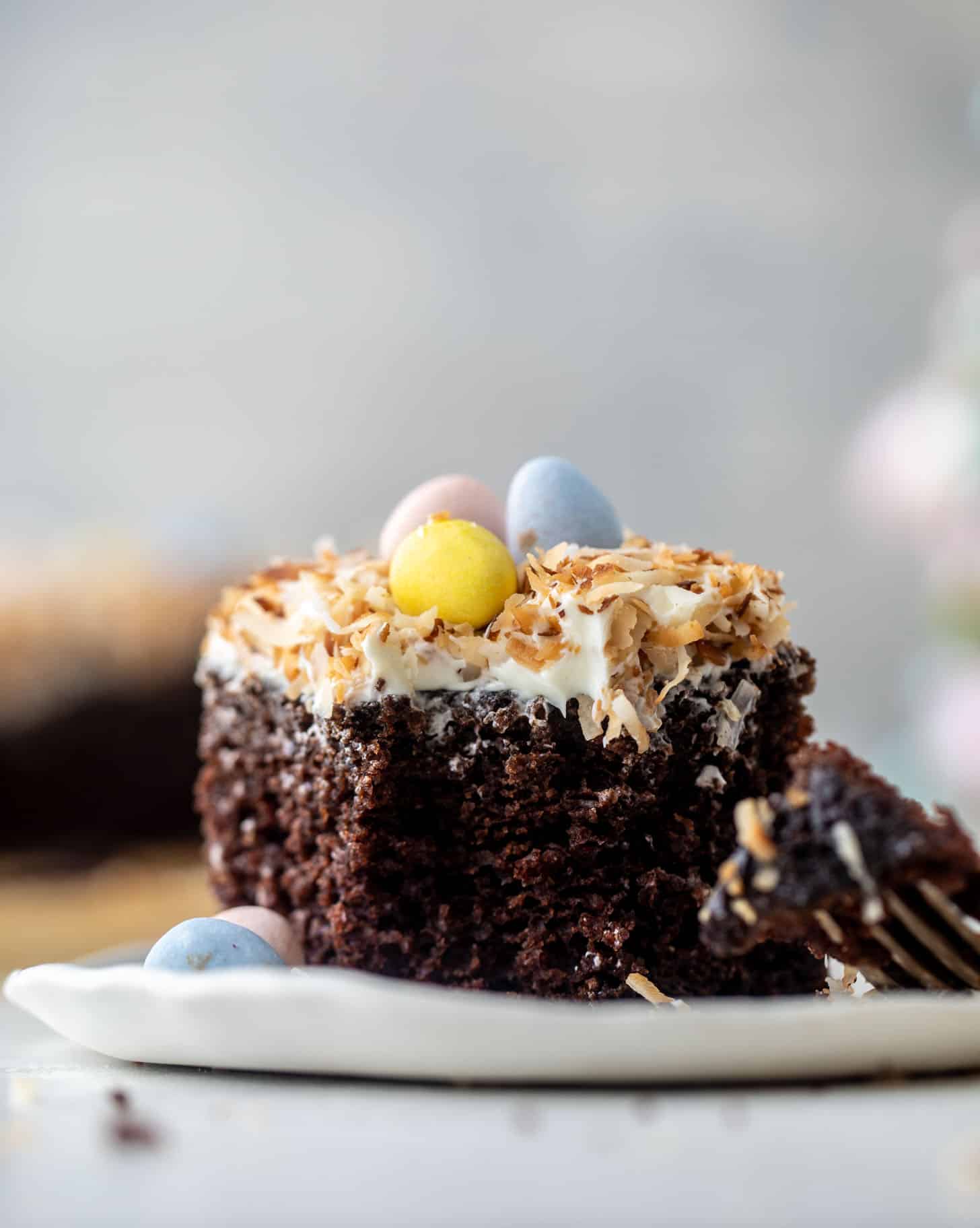 chocolate coconut easter cake
