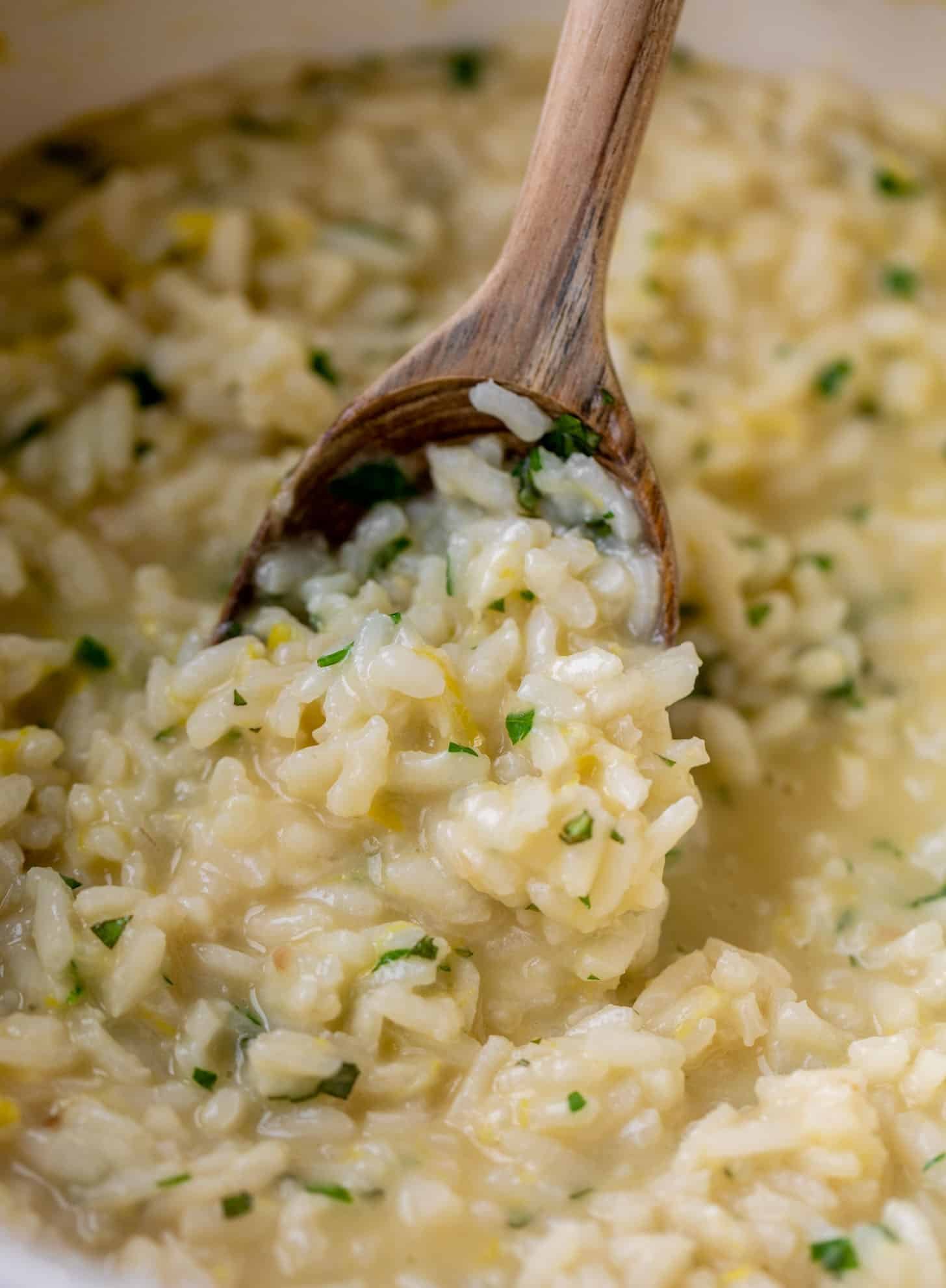 asiago lemon risotto 