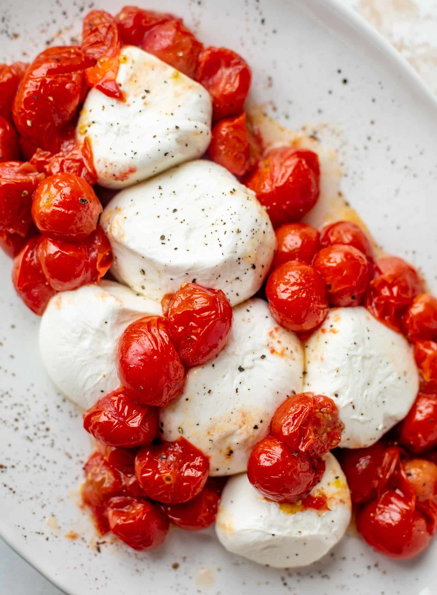 burrata an burst tomatoes