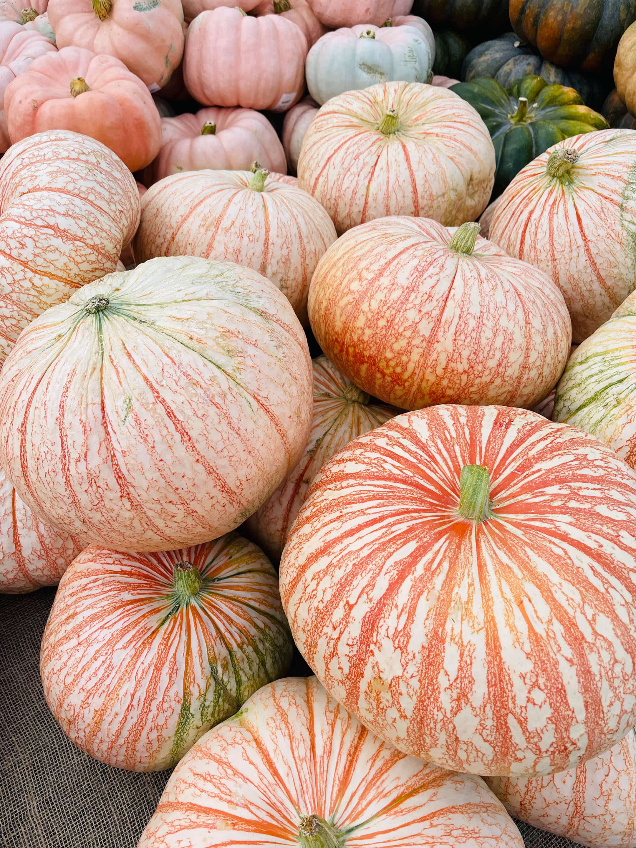 currently crushing on