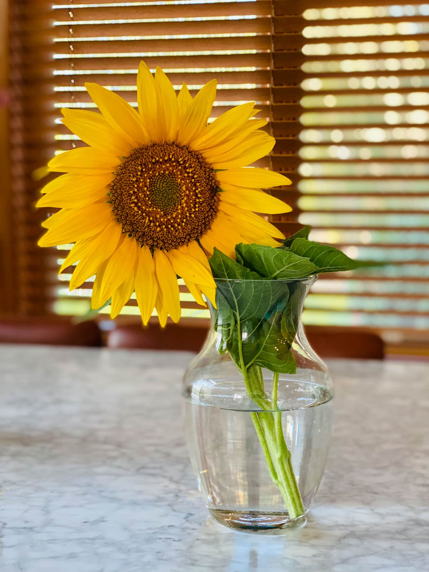 currently crushing on