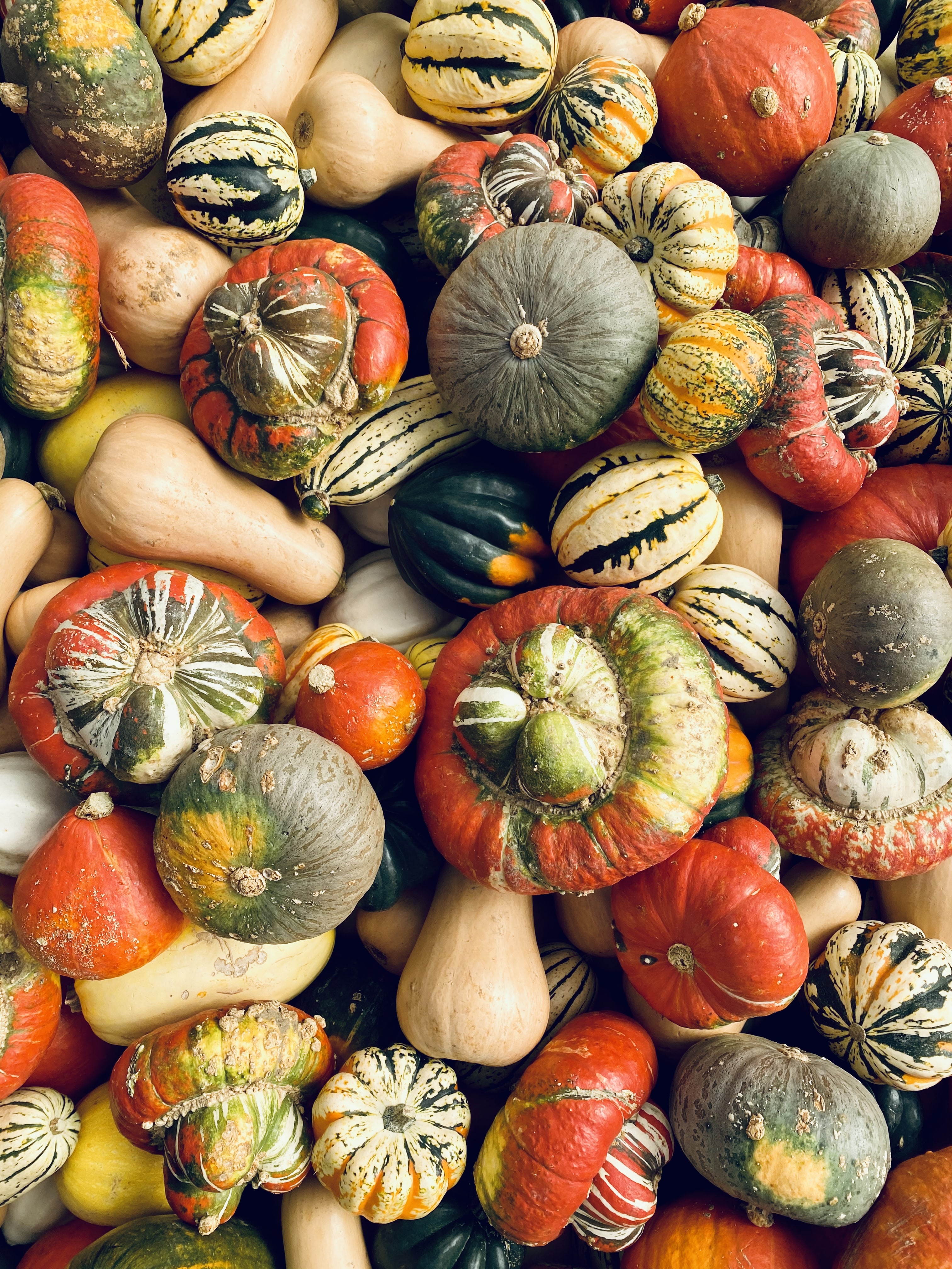 currently crushing on