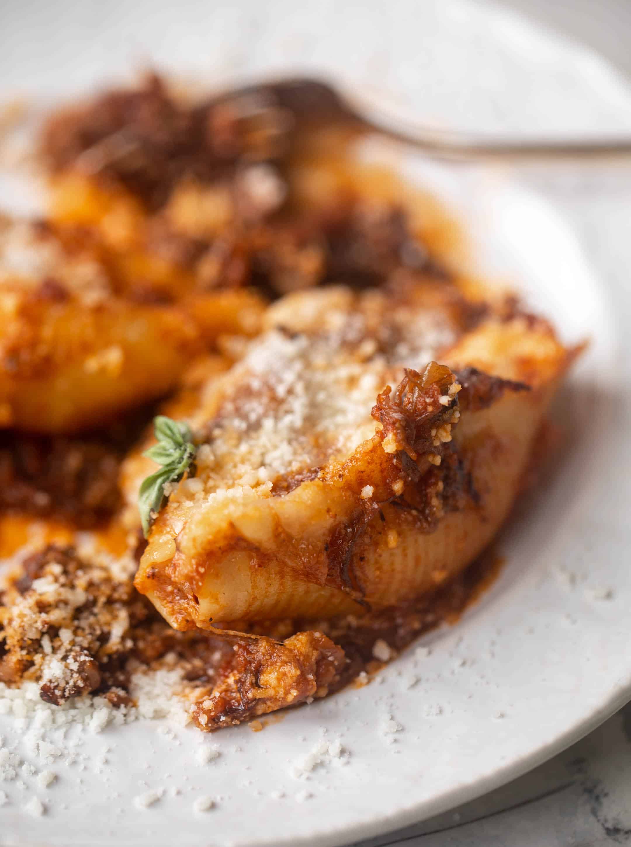 short rib stuffed shells