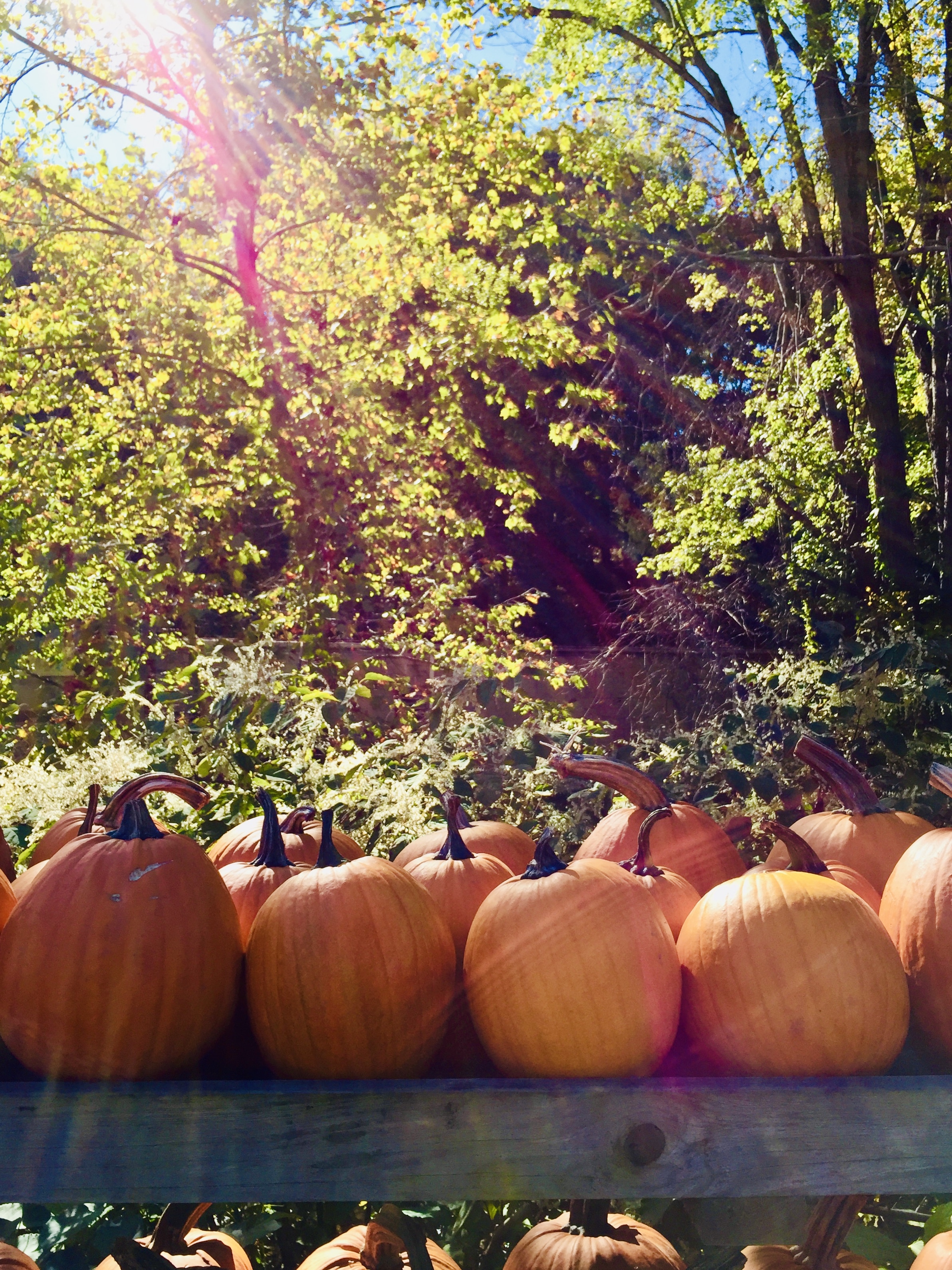 currently crushing on