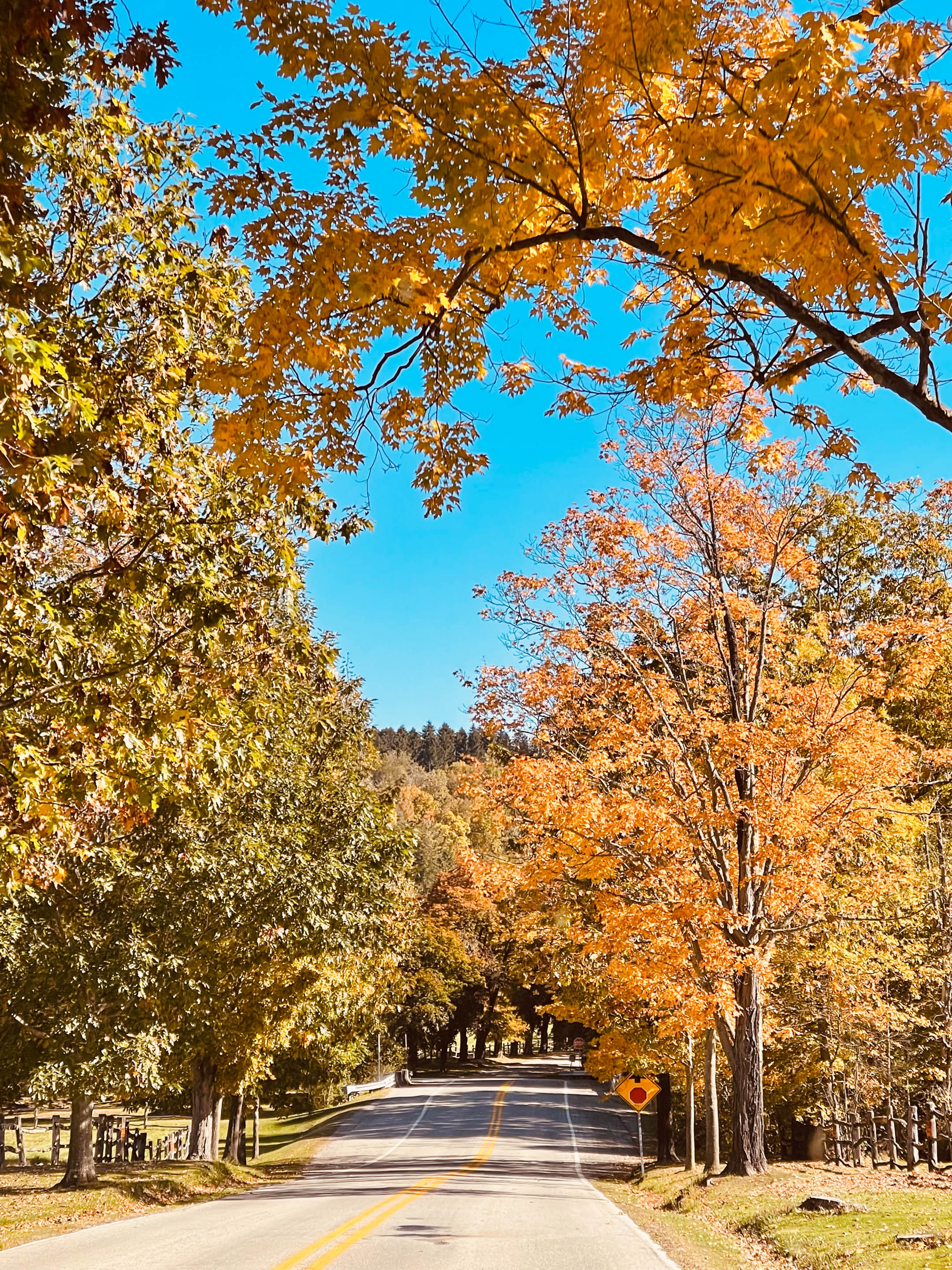 currently crushing on