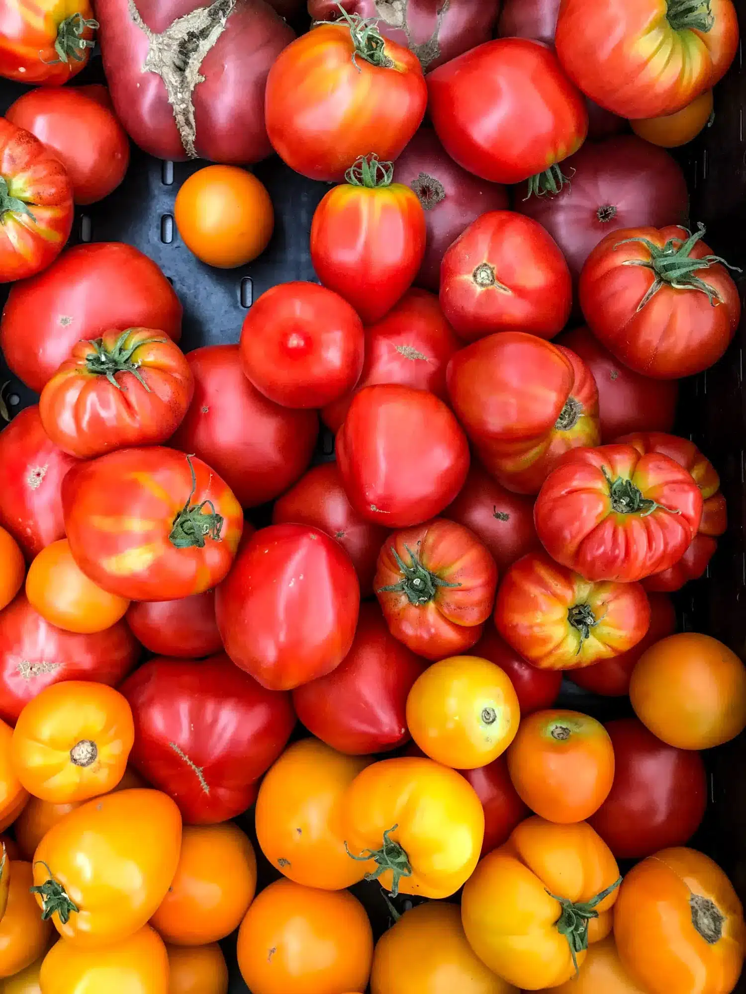 currently crushing on