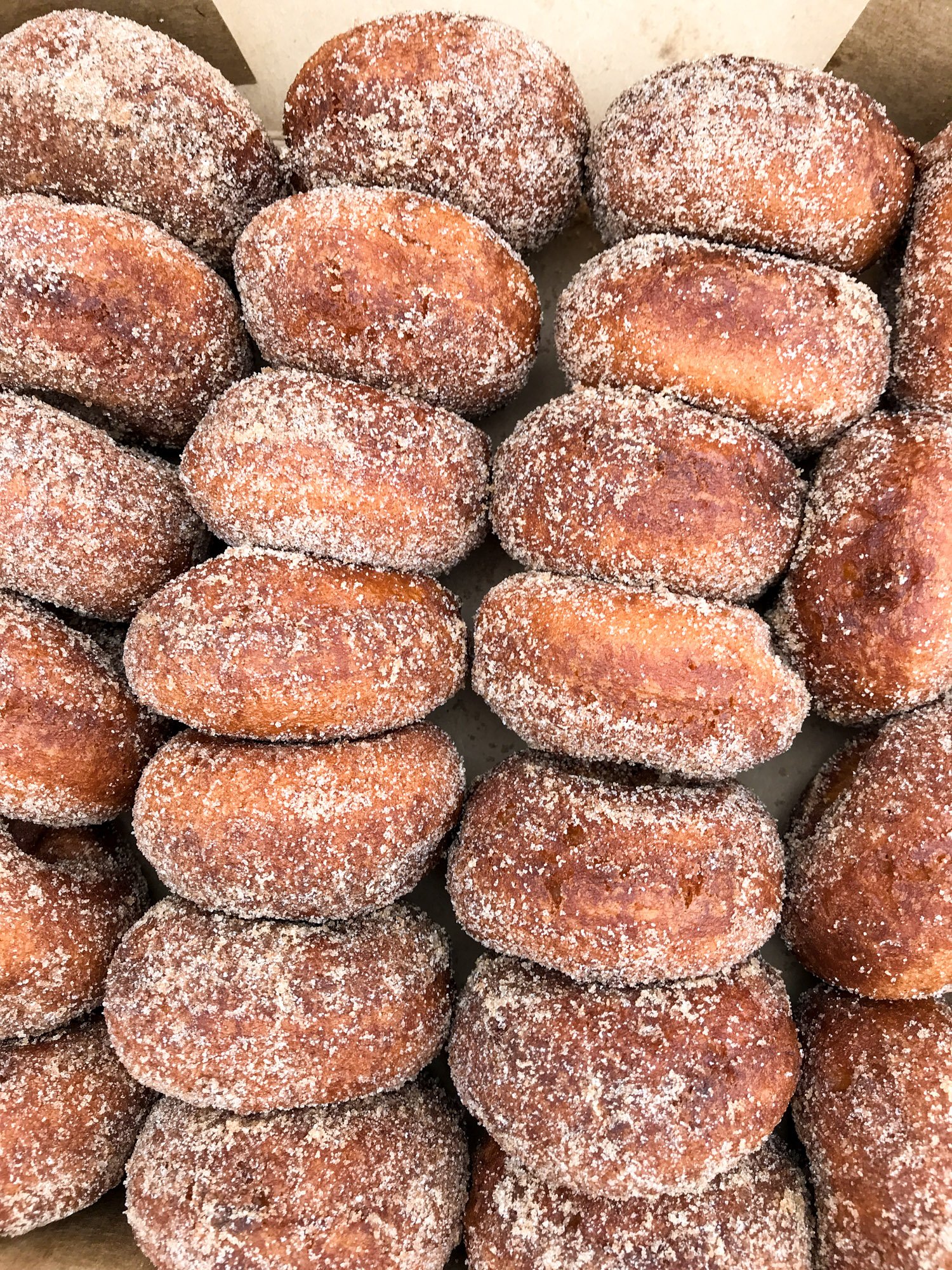 currently crushing on